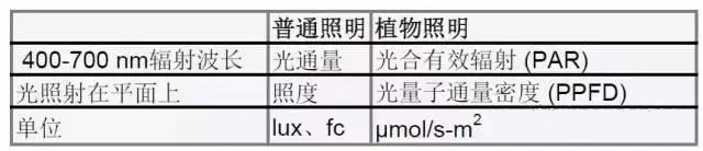 植物照明