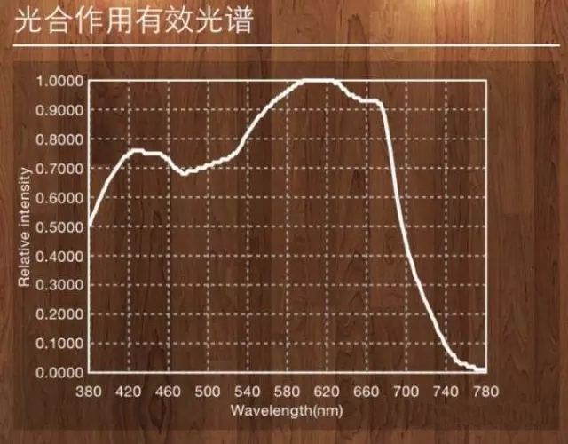 植物照明
