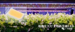 植物生长灯上用高光效SMD MID POWER LED
