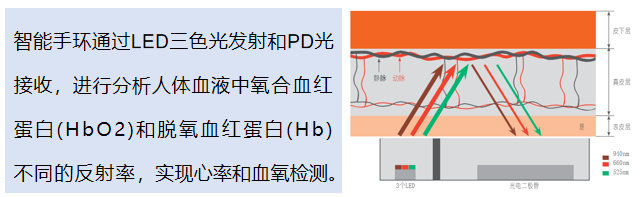 血氧检测原理.png