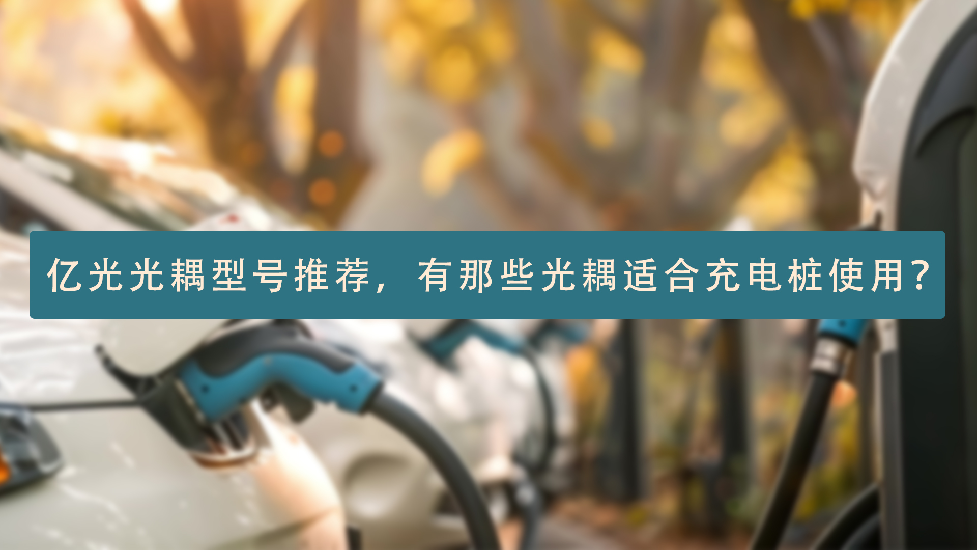 充电桩.jpg
